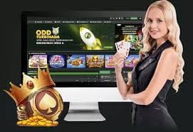 777wim bet